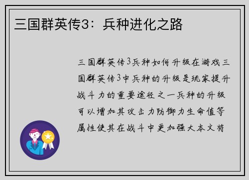 三国群英传3：兵种进化之路